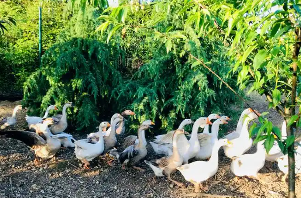 黔福居生态山庄